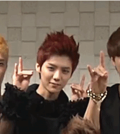 LULU HAHA-4
