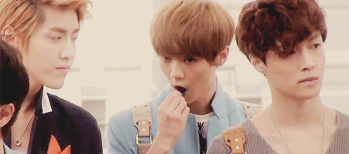 lulu kris lay-2.jpg
