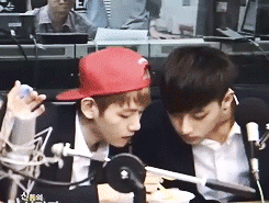 TAO B.gif