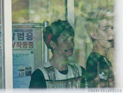 D.O HAHA-12