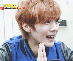 LULU HAHA-3.jpg