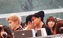 LULU TAO HEART.jpg