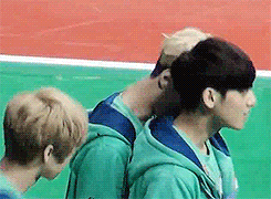 SEHUN TAO.jpg