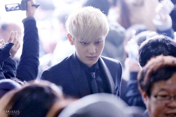 TAO-9.jpg