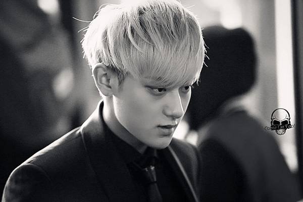 TAO-15.jpg