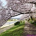 DSC02096.JPG