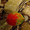 DSC05008.JPG