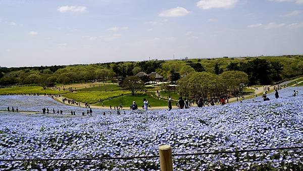 _DSC9817.JPG