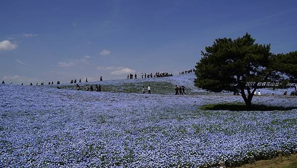 _DSC9982.JPG