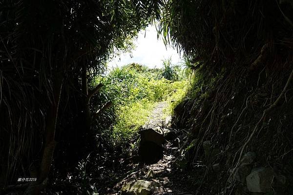 【九棚】鼻頭草原~眺望八瑤灣