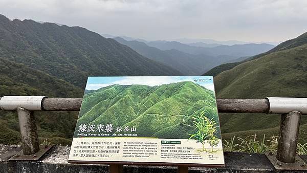 揮汗!毅力!擁抱美美抹茶山