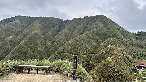 揮汗!毅力!擁抱美美抹茶山