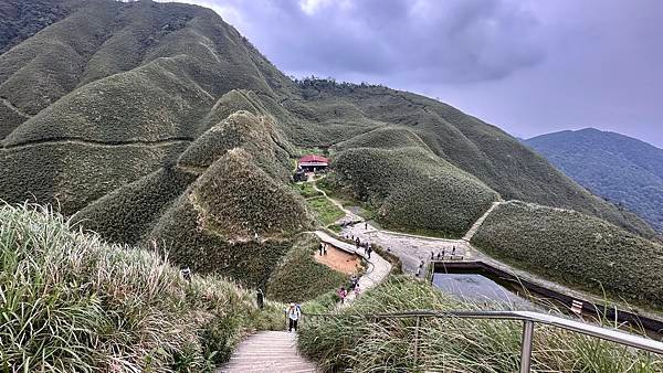 揮汗!毅力!擁抱美美抹茶山