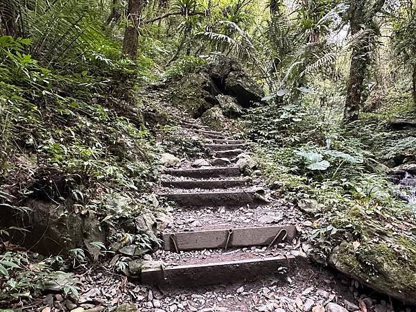 揮汗!毅力!擁抱美美抹茶山