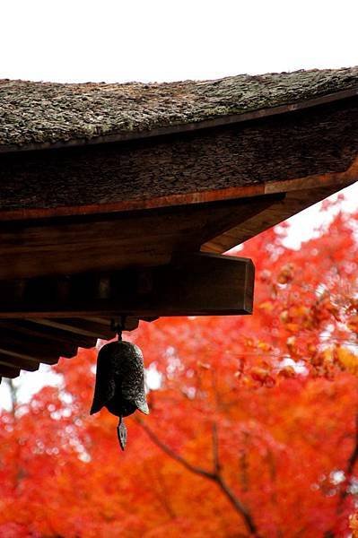 Fall