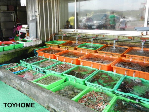 【美食/國中幫】新北市石門富基漁港來來海鮮餐廳 品嚐鮮味的海