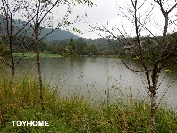 【旅遊】苗栗南庄向天湖風景區 湖光山色美景 2015/8/2