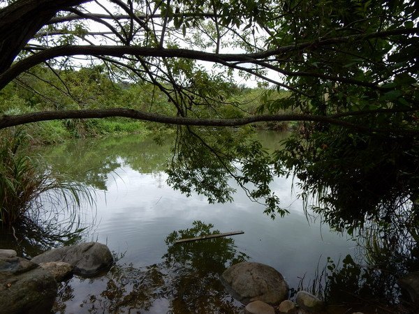 【旅遊】苗栗泰安雪霸國家公園汶水遊客中心 生態池散步2015