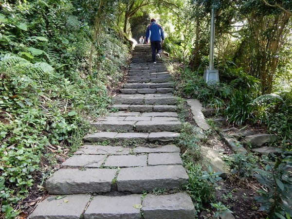 【懶人包】台灣中部以北適合全家大小的親山步道(持續更新)