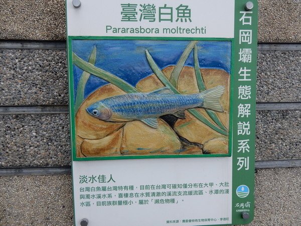 【旅遊】大甲溪下游的石岡水壩+921地震公園 踏青去 201