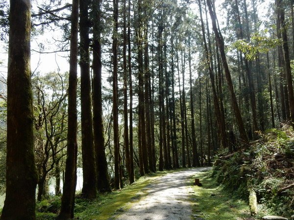 【遊記】宜蘭明池森林遊樂區 欣賞山中湖景 2016/4/2