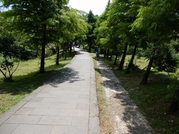 【遊記】消暑再度往陽明山跑 冷水坑+絹絲瀑布一日遊 2016