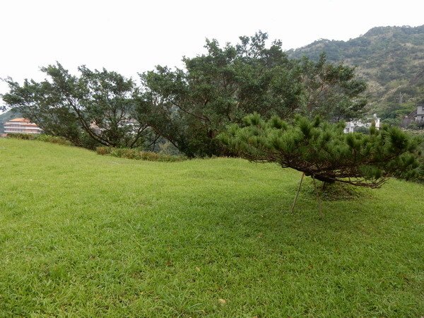 【遊記】金瓜石黃金博物館 探尋礦山秘境 2016/11/19