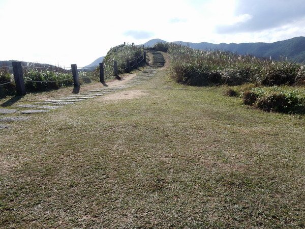 【懶人包】台灣中部以北適合全家大小的親山步道(持續更新)