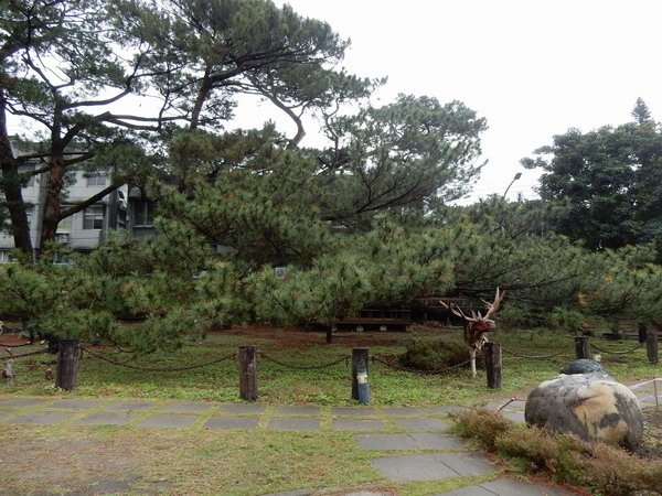 【旅遊】花蓮市區松園別館+臥松園區 佔地不大 2017/1/