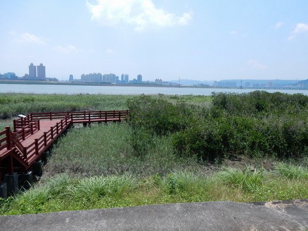 【美食】台北士林/社子島頭 河岸美食餐廳 騎腳踏車吃熱炒欣賞