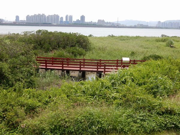 【美食】台北士林/社子島頭 河岸美食餐廳 騎腳踏車吃熱炒欣賞