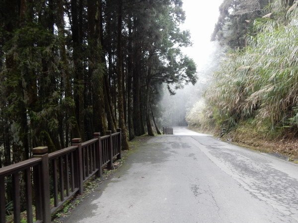 【懶人包】台灣中部以北適合全家大小的親山步道(持續更新)