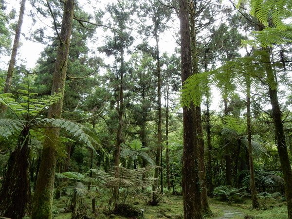 【遊記】宜蘭福山植物園 看到野生動物好興奮阿！ 2018/8