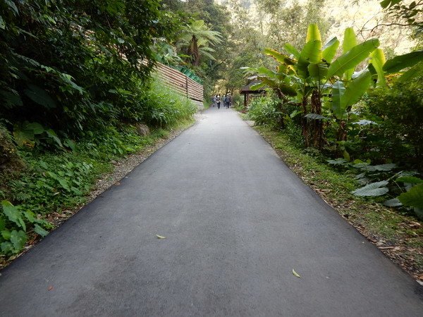 【懶人包】台灣中部以北適合全家大小的親山步道(持續更新)