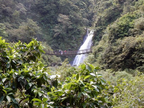 【懶人包】全台打卡景點推薦 自然景觀+人文造景 拍美照超夯(