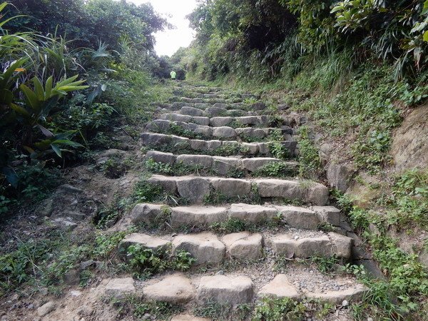 【遊記】新北瑞芳南子杏步道 山海環景東北角風光盡收眼底 20
