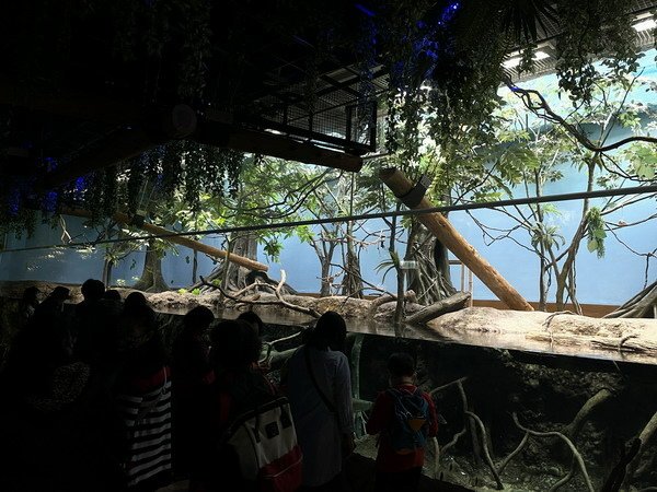 【遊記】桃園Xpark都會型水生公園 體驗大型水族館的魅力2