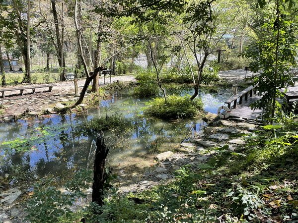 【旅遊】台東知本國家森林遊樂區 走進森林享受芬多精的洗禮 2