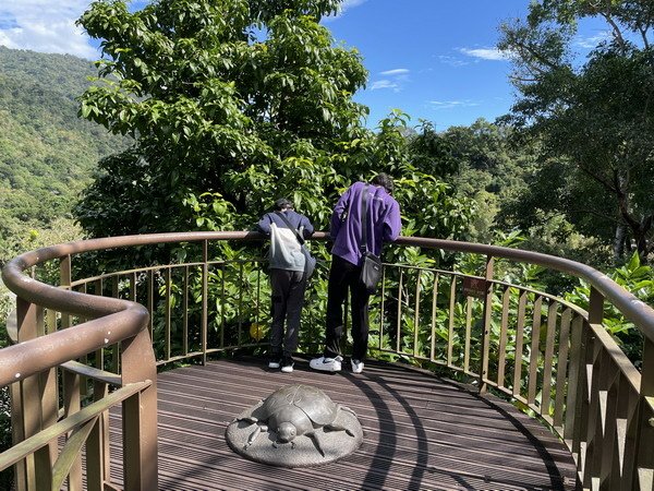 【旅遊】台東知本國家森林遊樂區 走進森林享受芬多精的洗禮 2