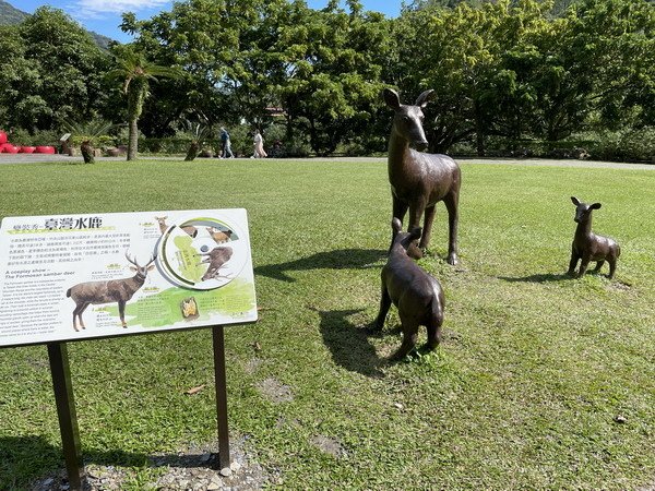 【旅遊】台東知本國家森林遊樂區 走進森林享受芬多精的洗禮 2