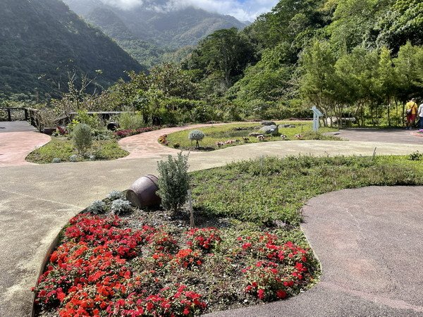 【旅遊】台東知本國家森林遊樂區 走進森林享受芬多精的洗禮 2