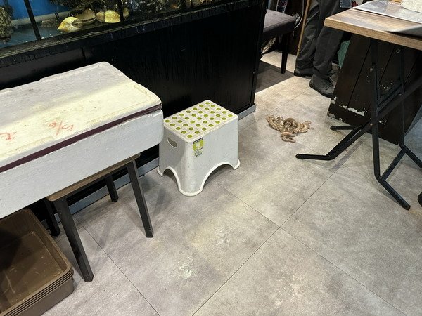【美食】台北松山/漁聞樂海鮮料理｜不用去漁港就可吃到蟹黃咖哩