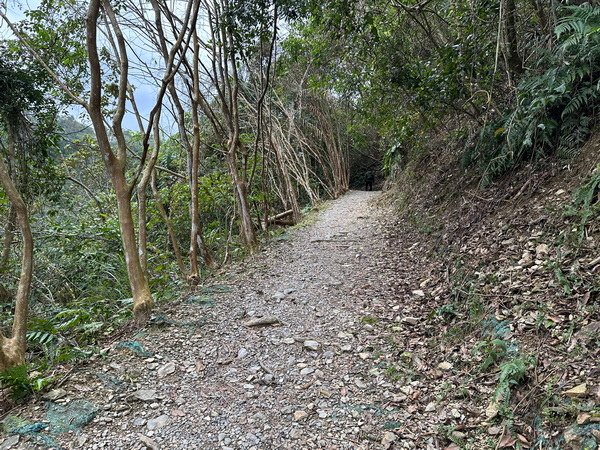 【旅遊】宜蘭三星/長埤湖精靈村 環湖一周欣賞湖光山景之美 2