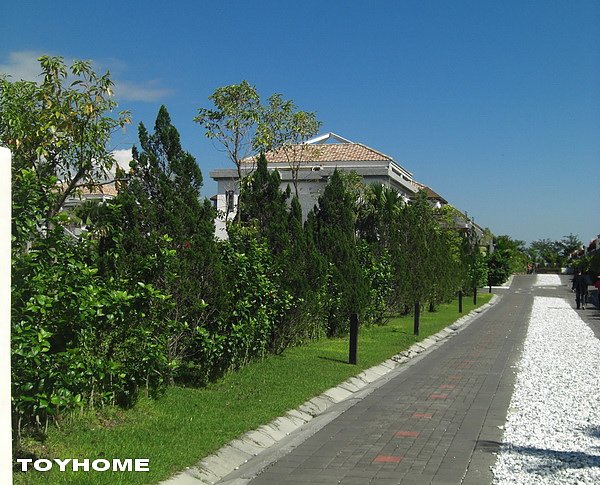 【住宿/員旅】台東池上日暉國際渡假村 景色迷人 2010/1