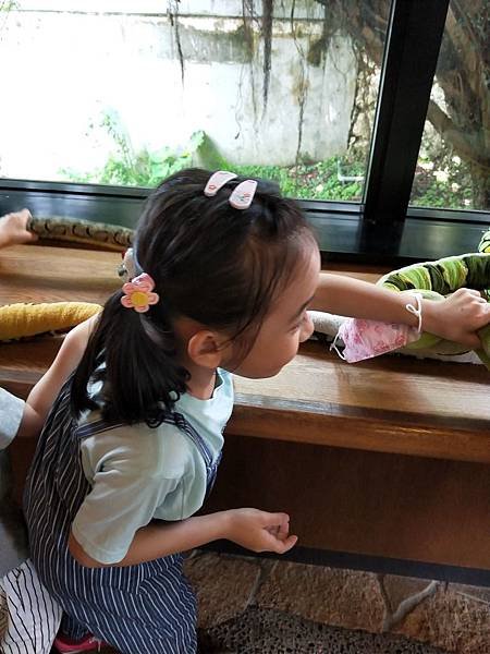 IMG20190421130611.jpg