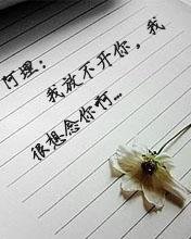 2010041108490983031.jpg