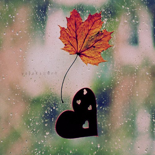 autum,cute,death,emotion,leaf,love-05d23d84914010f3f99d8689aa9c59d7_h.jpg