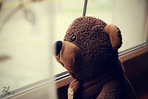 teddy,bear,love,alone,window,toy-f33f9870b987855ef95f1c1d922afd35_h.jpg
