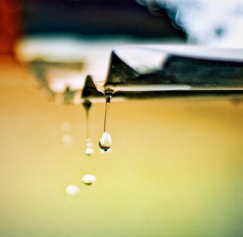 drops,roof,water-ee99f11f2d0ec8273a8b9250a0852ed7_h.jpg