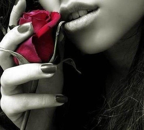 photography,romantic,rose-9d2ebb5b7188d9fb4b2c982704611ebf_h.jpg